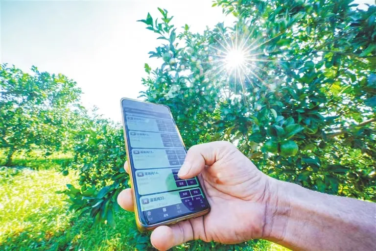 1722910239582041442.jpg 1722910239582041442.jpg