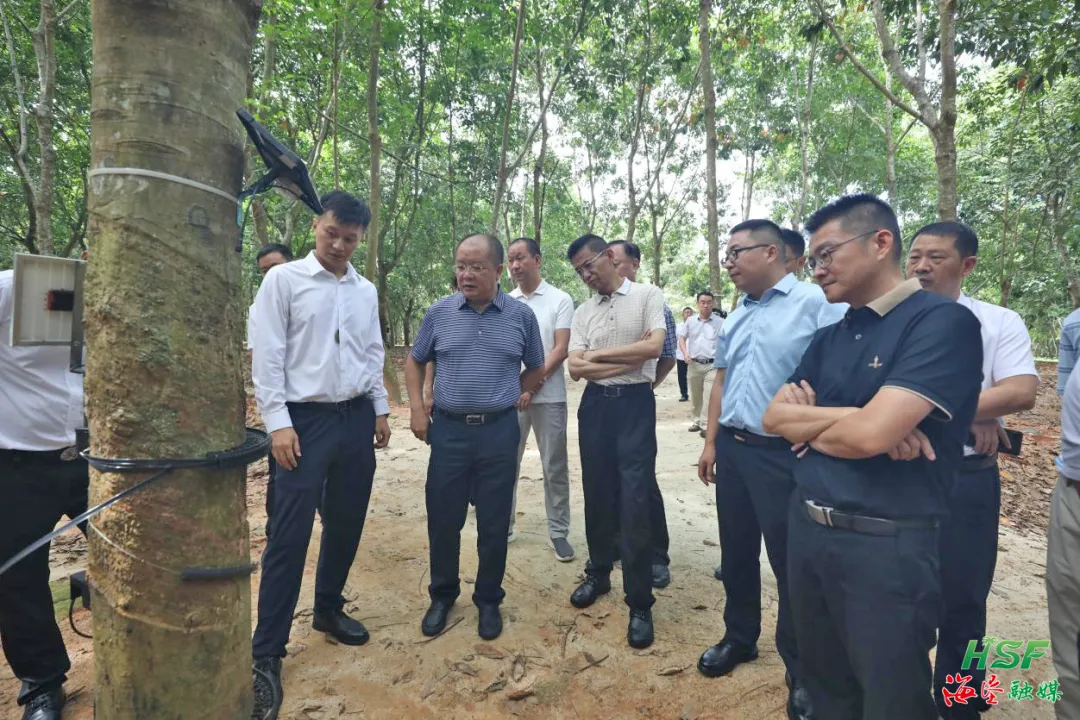 1724288887208023192.jpg 1724288887208023192.jpg