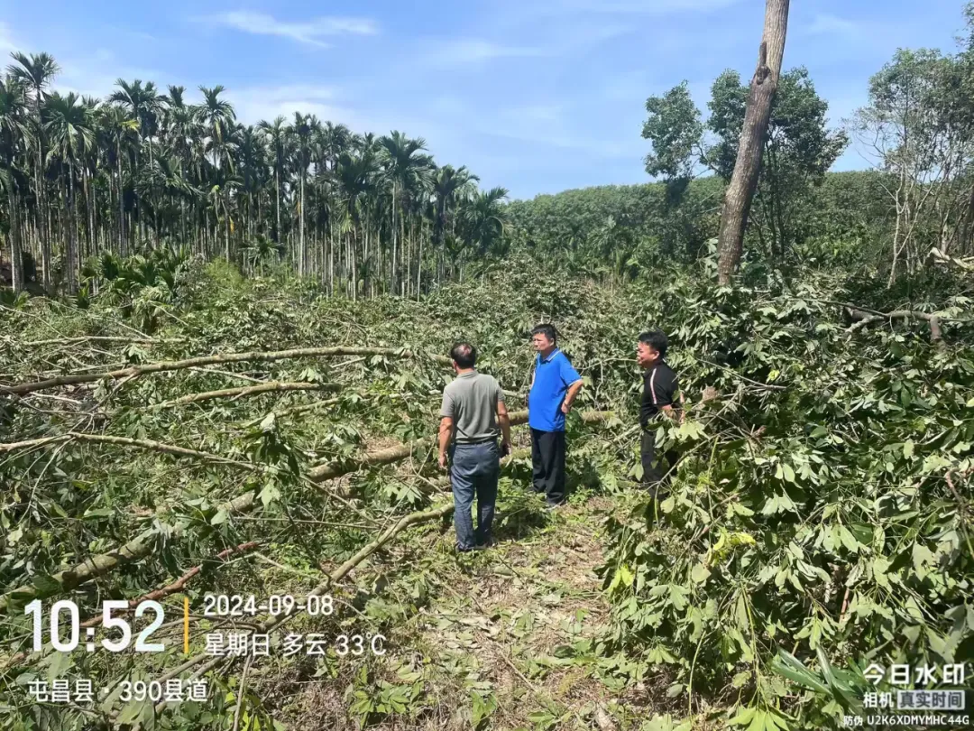 1726196325006001428.jpg 1726196325006001428.jpg