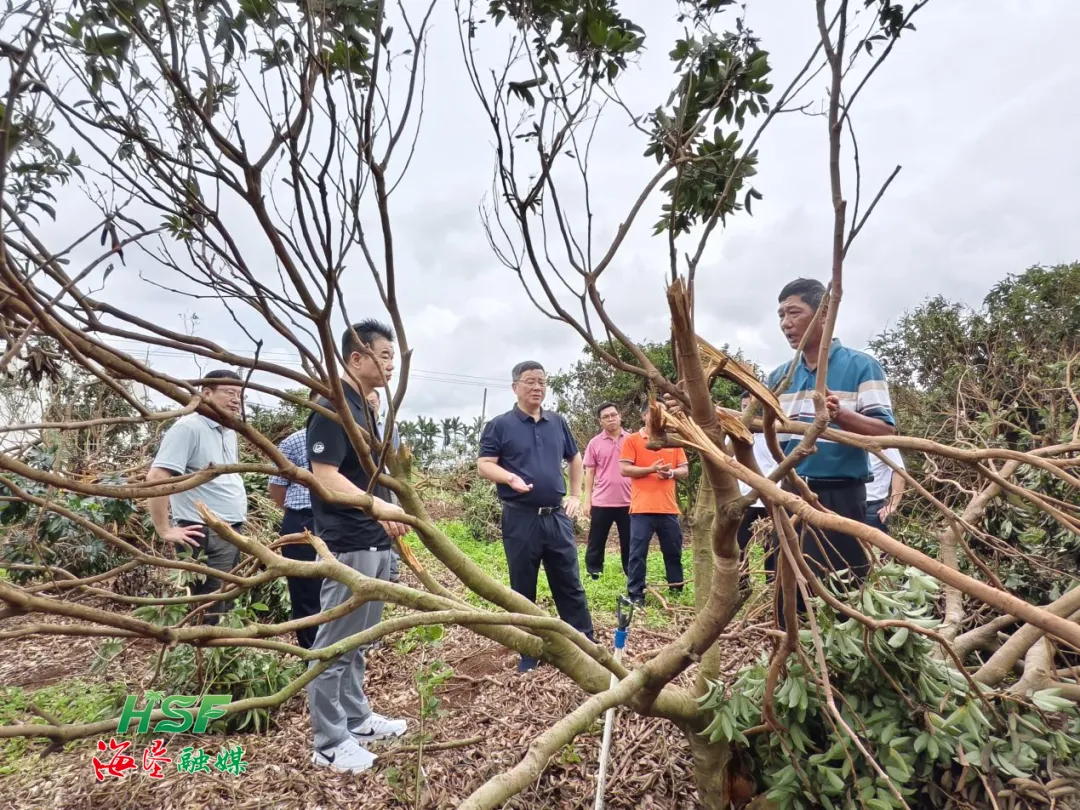 1726284516309017048.jpg 1726284516309017048.jpg