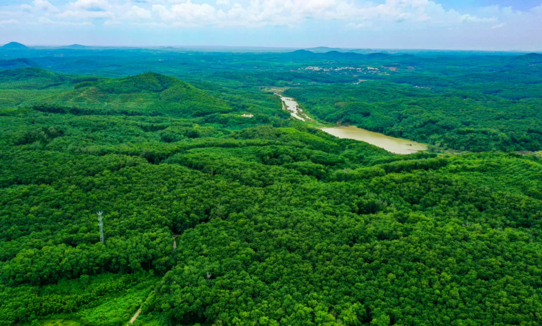 1743466915505011657.jpg 1743466915505011657.jpg