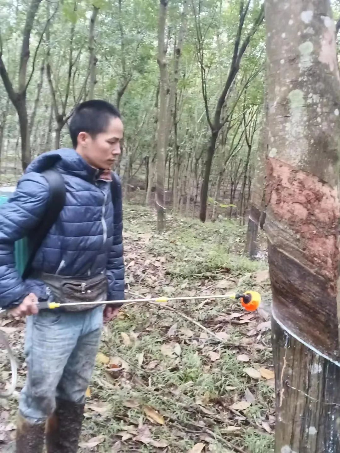 1747732014807060210.jpg 1747732014807060210.jpg