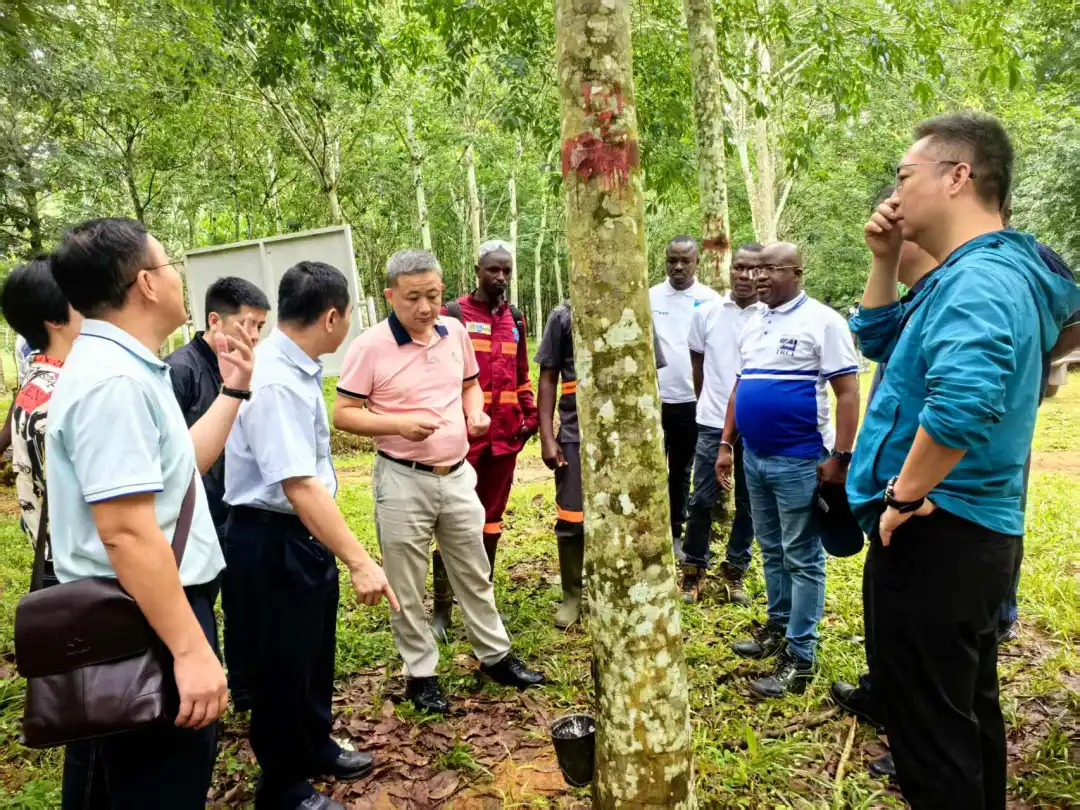 1748177240917023466.jpg 1748177240917023466.jpg