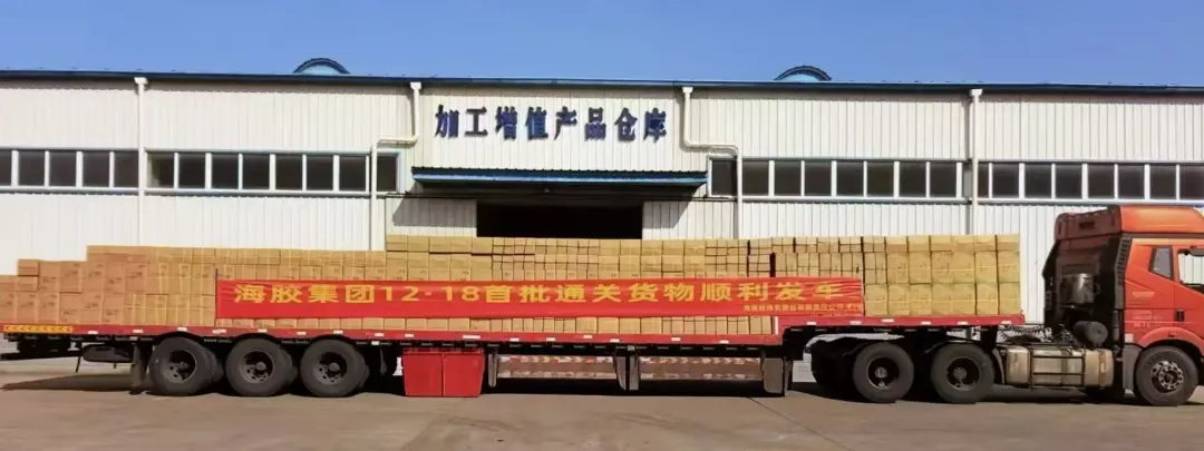 1766395951722025283.jpg 1766395951722025283.jpg